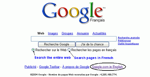 A screen shot showing Google's search box with the interface language set to French