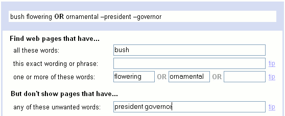 Screen shot of an advanced search for 'bush' without 'president' or 'governor'